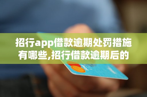 招行app借款逾期处罚措施有哪些,招行借款逾期后的后果