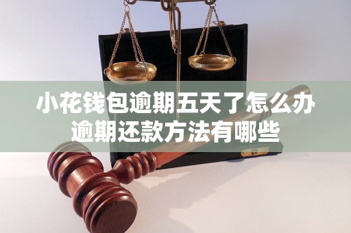 小花钱包逾期五天了怎么办逾期还款方法有哪些