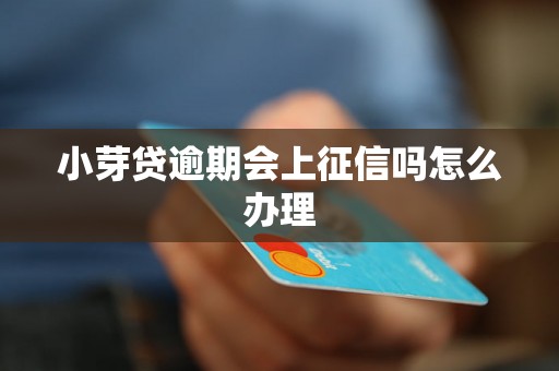 小芽贷逾期会上征信吗怎么办理