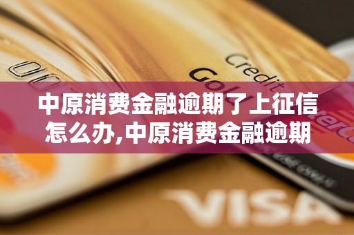 中原消费金融逾期了上征信怎么办,中原消费金融逾期上征信的后果