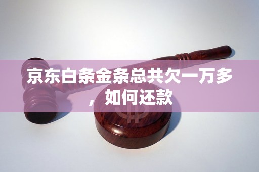 京东白条金条总共欠一万多，如何还款