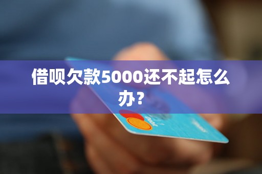 借呗欠款5000还不起怎么办？