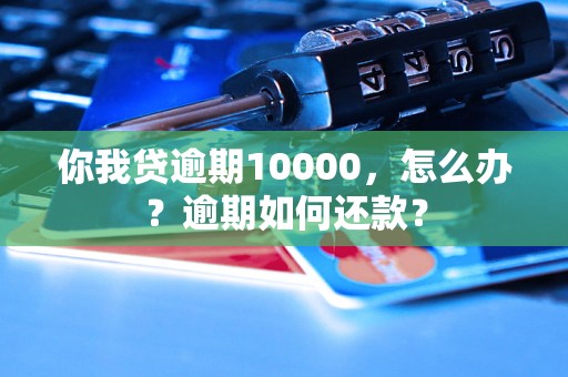 你我贷逾期10000，怎么办？逾期如何还款？