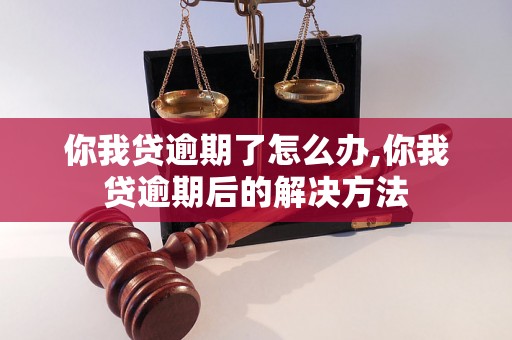 你我贷逾期了怎么办,你我贷逾期后的解决方法