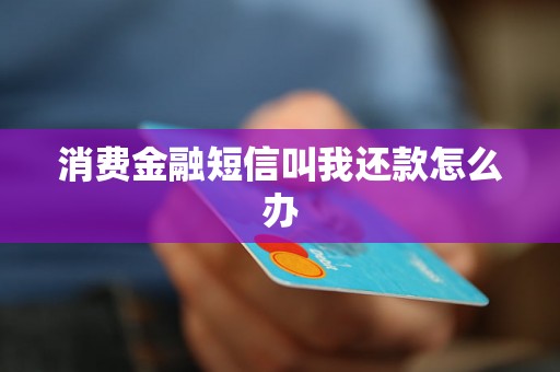 消费金融短信叫我还款怎么办