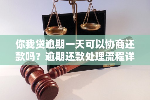 你我贷逾期一天可以协商还款吗？逾期还款处理流程详解