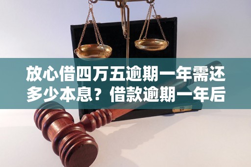 放心借四万五逾期一年需还多少本息？借款逾期一年后的还款额计算公式