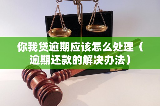 你我贷逾期应该怎么处理（逾期还款的解决办法）