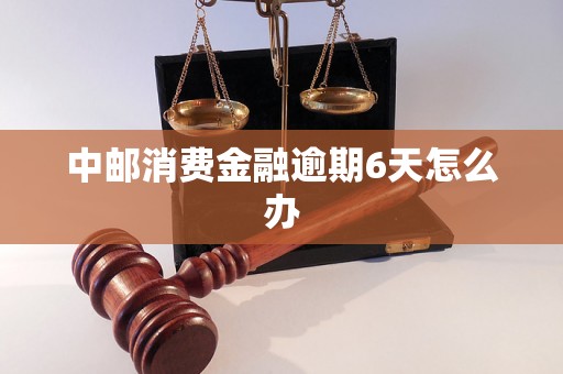 中邮消费金融逾期6天怎么办