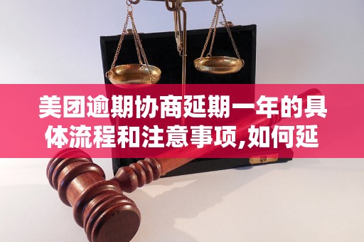 美团逾期协商延期一年的具体流程和注意事项,如何延长美团逾期协商期限