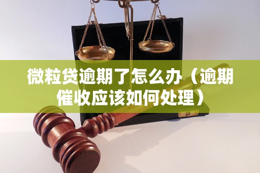 微粒贷逾期了怎么办（逾期催收应该如何处理）