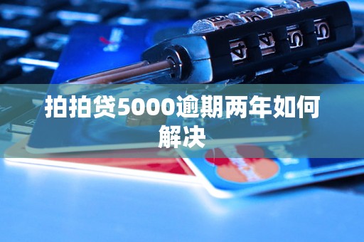 拍拍贷5000逾期两年如何解决