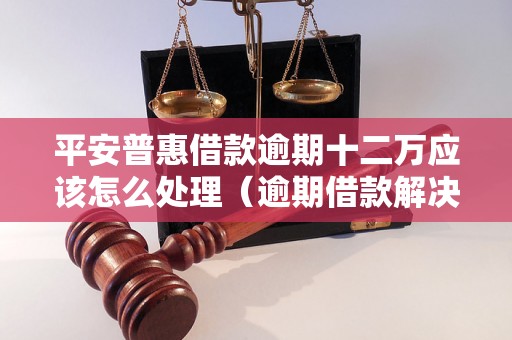 平安普惠借款逾期十二万应该怎么处理（逾期借款解决方法指南）