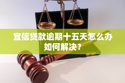 宜信贷款逾期十五天怎么办如何解决？