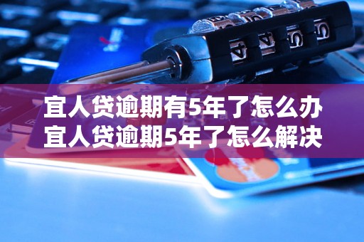 宜人贷逾期有5年了怎么办宜人贷逾期5年了怎么解决