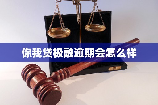 你我贷极融逾期会怎么样