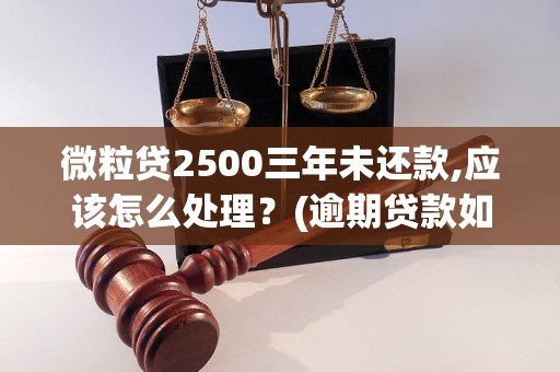 微粒贷2500三年未还款,应该怎么处理？(逾期贷款如何解决)