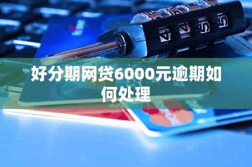 好分期网贷6000元逾期如何处理