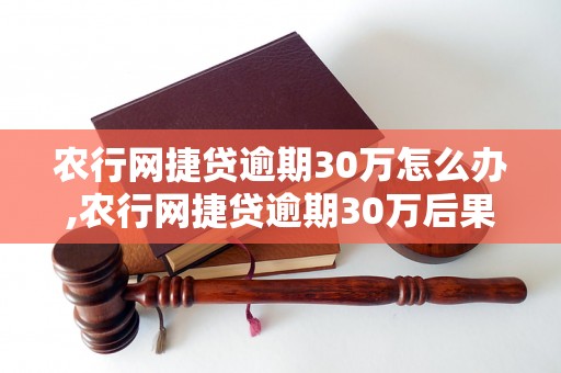 农行网捷贷逾期30万怎么办,农行网捷贷逾期30万后果及解决办法