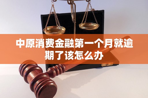 中原消费金融第一个月就逾期了该怎么办