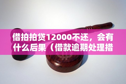 借拍拍贷12000不还，会有什么后果（借款逾期处理措施详解）