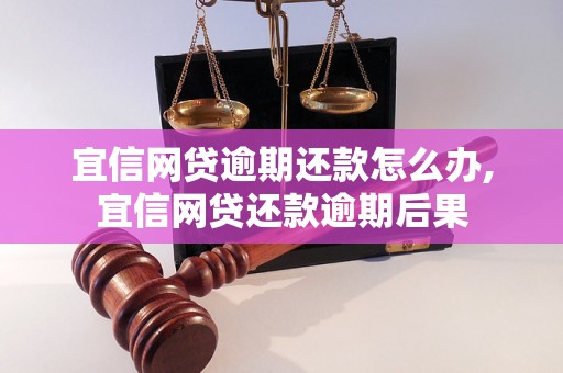 宜信网贷逾期还款怎么办,宜信网贷还款逾期后果