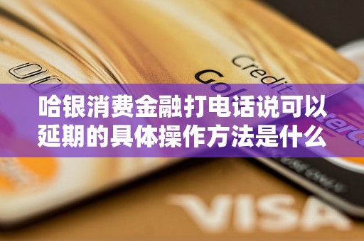 哈银消费金融打电话说可以延期的具体操作方法是什么