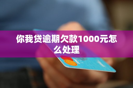 你我贷逾期欠款1000元怎么处理