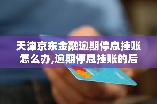 天津京东金融逾期停息挂账怎么办,逾期停息挂账的后果及解决方法