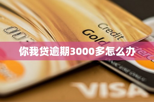 你我贷逾期3000多怎么办