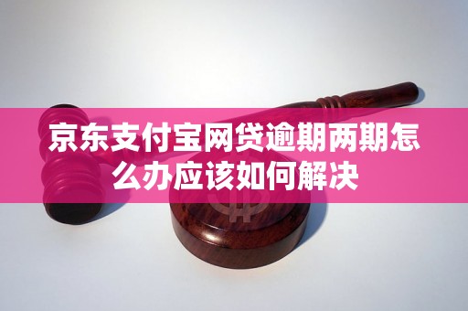 京东支付宝网贷逾期两期怎么办应该如何解决