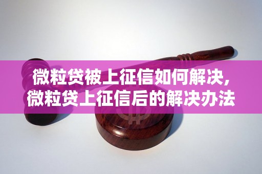 微粒贷被上征信如何解决,微粒贷上征信后的解决办法