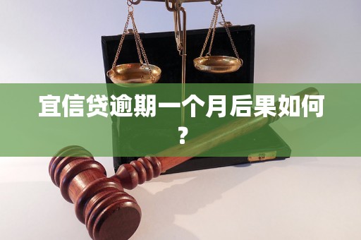 宜信贷逾期一个月后果如何？