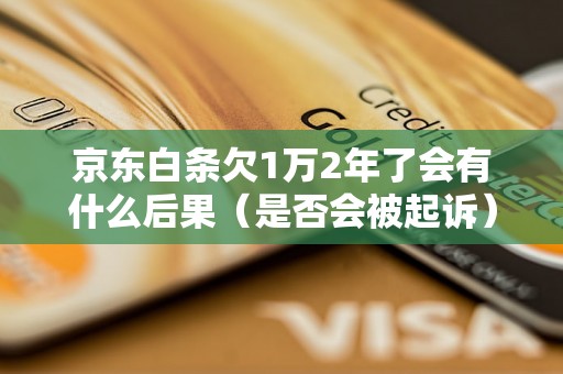 京东白条欠1万2年了会有什么后果（是否会被起诉）