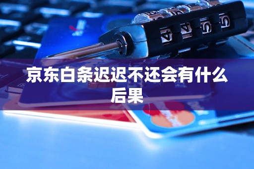 京东白条迟迟不还会有什么后果