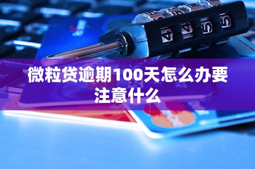 微粒贷逾期100天怎么办要注意什么