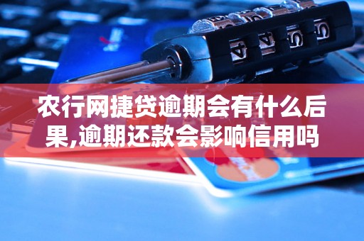 农行网捷贷逾期会有什么后果,逾期还款会影响信用吗