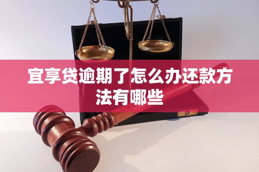 宜享贷逾期了怎么办还款方法有哪些