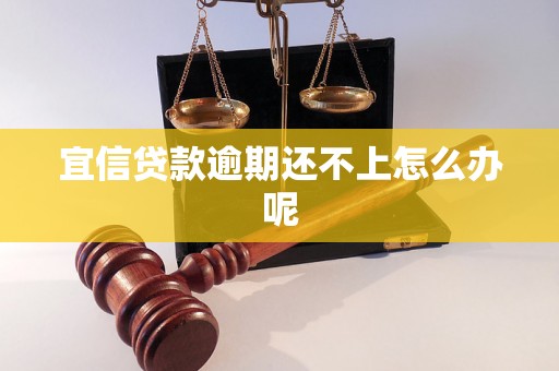 宜信贷款逾期还不上怎么办呢