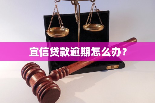 宜信贷款逾期怎么办？