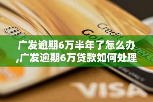 广发逾期6万半年了怎么办,广发逾期6万贷款如何处理