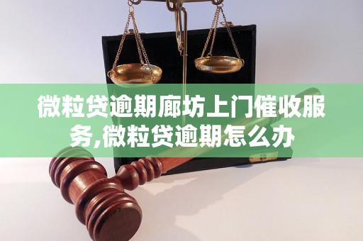 微粒贷逾期廊坊上门催收服务,微粒贷逾期怎么办