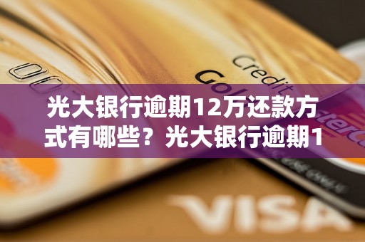 光大银行逾期12万还款方式有哪些？光大银行逾期12万如何解决？