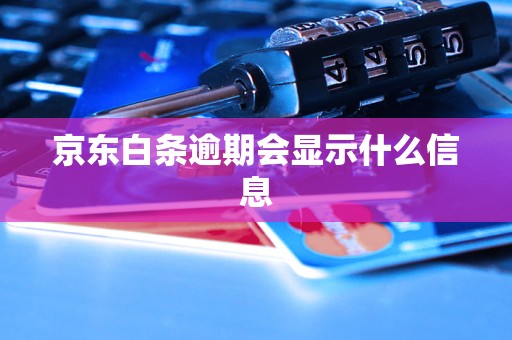 京东白条逾期会显示什么信息