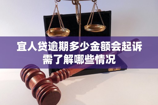 宜人贷逾期多少金额会起诉需了解哪些情况