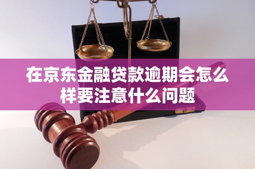 在京东金融贷款逾期会怎么样要注意什么问题