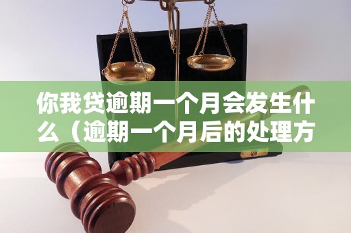 你我贷逾期一个月会发生什么（逾期一个月后的处理方式）