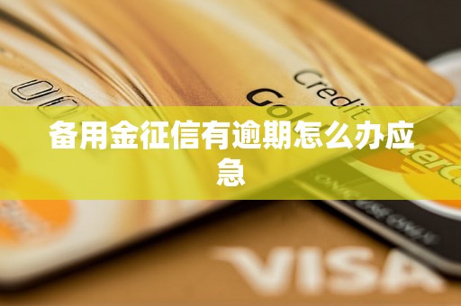 备用金征信有逾期怎么办应急