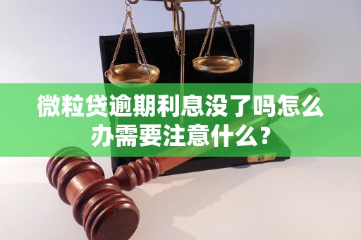 微粒贷逾期利息没了吗怎么办需要注意什么？