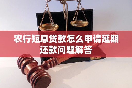 农行短息贷款怎么申请延期还款问题解答